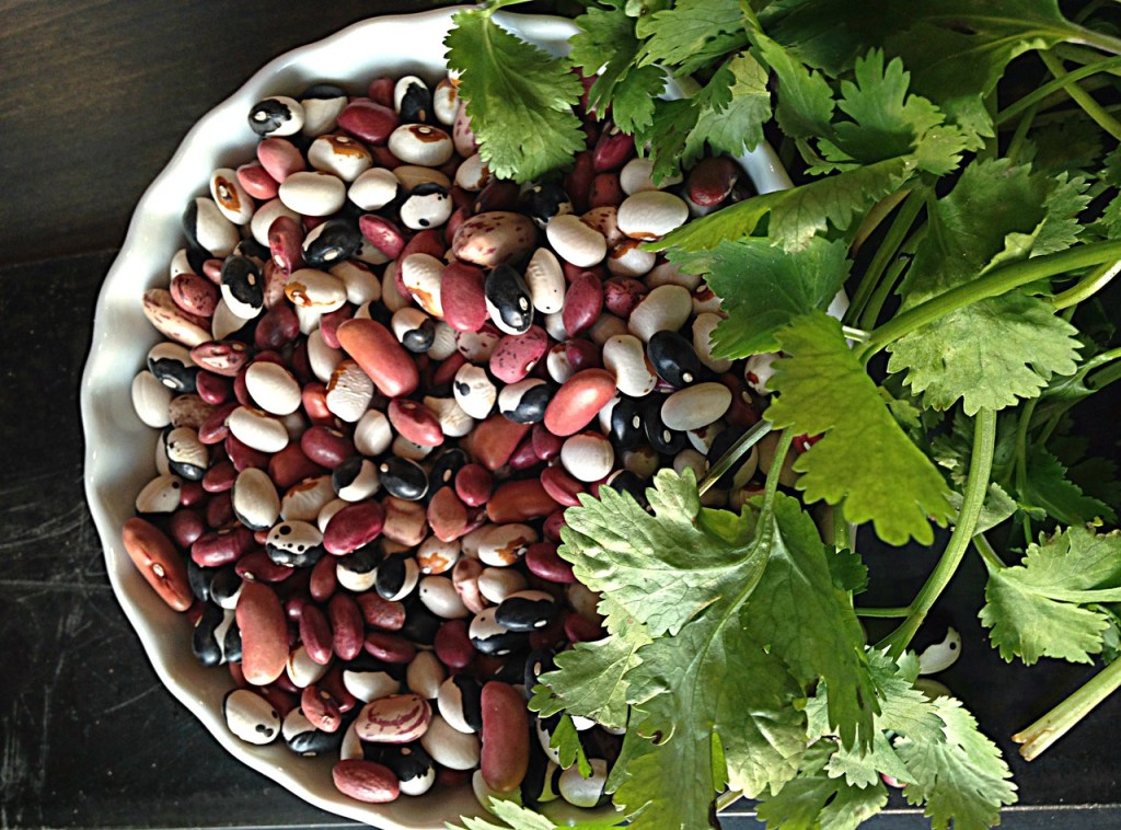 beans, cilantro, food-2140656.jpg